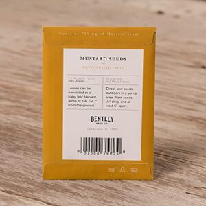 Bentley Seeds with Faith Pre Filled Giant Curled India Seed Packets - 25 Individual Mustard Seed Packs - Ideal for Party Favors - Non-GMO - Eco-Friendly Spring to Fall Gift - Outdoor Garden Seeds