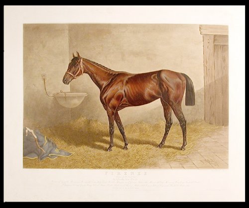 Firenze Queen of the Turf 1890 by Glenelg dam Florida. Owned by J.B. Haggin Esq.