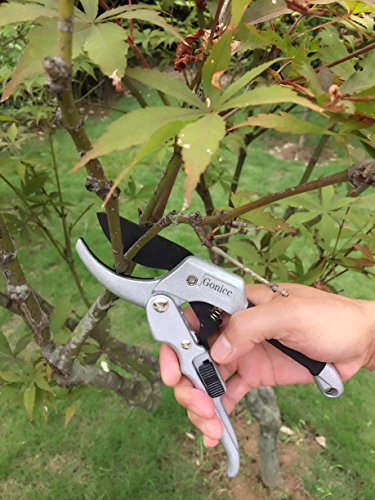 gonicc 8" Professional SK-5 Steel Blade Sharp Anvil Pruning Shears (GPPS-1001),Less effort. Pruning Scissors, Bonsai Cutters