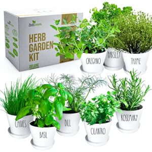 deluxe herb garden kit – 8 variety herbs for indoor & outdoor – get growing w/pots, potting soil, and detailed gardening guide for window herb garden – diy gardening kit gift for women & men