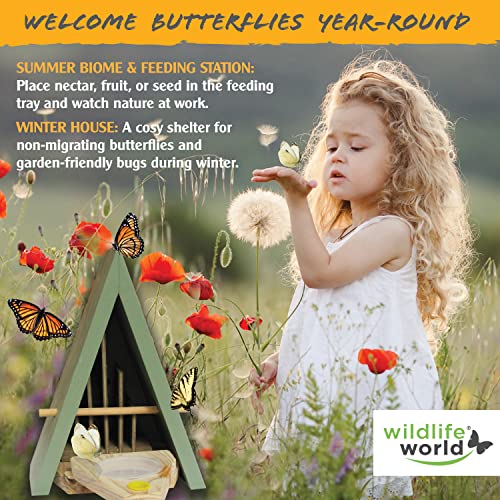 Wildlife World Butterfly House and Feeder - Natural Habitat to Attract Butterflies to Your Garden (Blue)