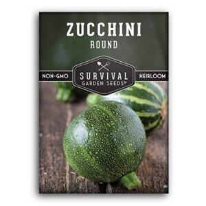 survival garden seeds – round zucchini seed for planting – pack with instructions to plant and grow small green zucchinis in your home vegetable garden – non-gmo heirloom variety