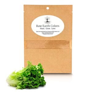 Romaine Lettuce Seeds for Hydroponics or Planting an Indoor or Outdoors Vegetable Garden Heirloom Seed Packet!