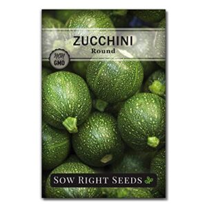 sow right seeds – round zucchini seed for planting – non-gmo heirloom packet with instructions to plant a home vegetable garden – great gardening gift (1)
