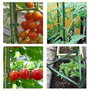 V VONTOX Garden Plant Cage Support Tomato Cage for Vertical Climbing Plants, Vegetables Cages, 3 Pack, Include Garden Ties and Nylon Cable Ties