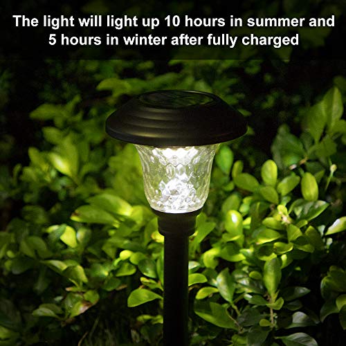 BEAU JARDIN 8 Pack Solar Pathway Lights Supper Bright UP to 12 Hrs Outdoor Garden Stake Glass Stainless Steel IP65 Waterproof Auto On/Off Powered Landscape Lighting for Yard Patio Walkway Black BG1681