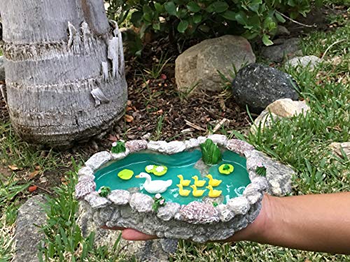 GlitZGlam Duck Pond -Mother and Ducklings! A Miniature Duck Pond for a Miniature Fairy Garden and Miniature Garden Accessories