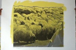 yellow herd of sheep menashe kadishman