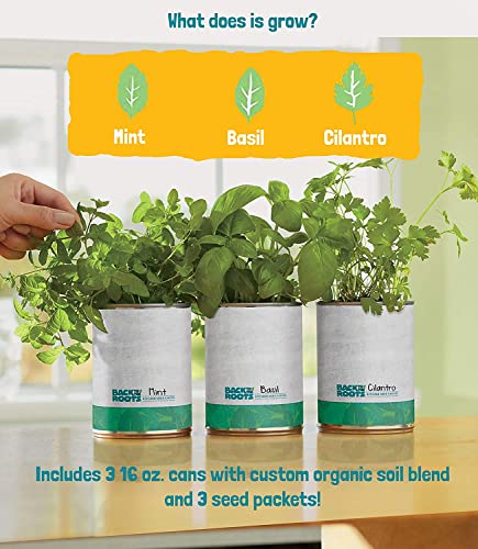 Back to the Roots New Kitchen Garden Complete Herb Kit Variety Pack of Basil, Mint, and Cilantro Seeds