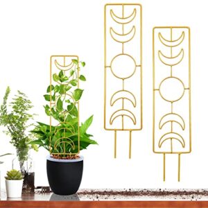 2 pack large moon phase plant trellis, 17.32 inches gold metal plant trellis for garden indoor climbing plants, climbing plant support for potted plants houseplant monstera plant ivy vine