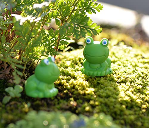 Exasinine 20 Pcs Resin Mini Frogs Green Frog Miniature Figurines Fairy Garden Miniature Moss Landscape DIY Terrarium Crafts Ornament Accessories for Home Décor