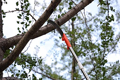 HOSKO 10FT Pole Saw for Tree Trimming, Long Extension Pruning Saw, Blade Tree Trimmer Pole, Manual Pole Cutter for, Yard Garden and Patios Trees Branches Cutting