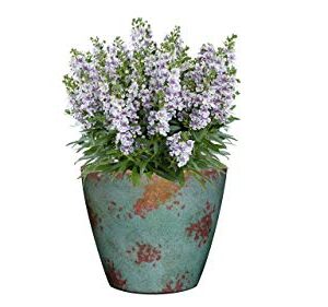 Classic Home and Garden 9010D-405S Premiere Collection Planter, Rosie 10", Stark White