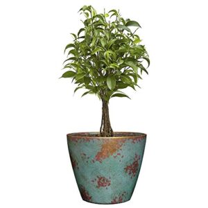 Classic Home and Garden 9010D-405S Premiere Collection Planter, Rosie 10", Stark White