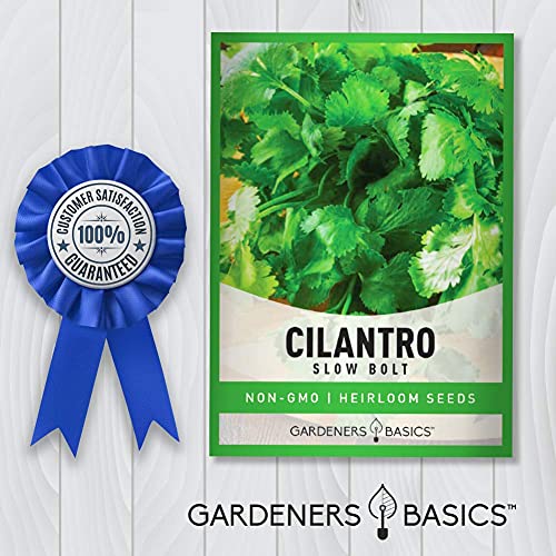 Cilantro Seeds for Planting Heirloom Non-GMO Herb Coriander Plant Seeds for Home Herb Garden Vegetables Makes a Great Gift for Gardening by Gardeners Basics