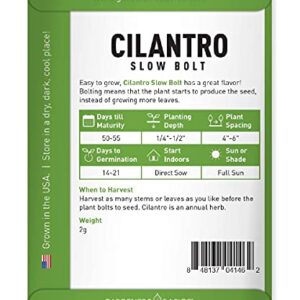 Cilantro Seeds for Planting Heirloom Non-GMO Herb Coriander Plant Seeds for Home Herb Garden Vegetables Makes a Great Gift for Gardening by Gardeners Basics