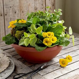 The HC Companies 22 Inch Large Garden Bowl Planter - Shallow Plant Pot with Drainage Plug for Indoor Outdoor Flowers, Herbs, Clay