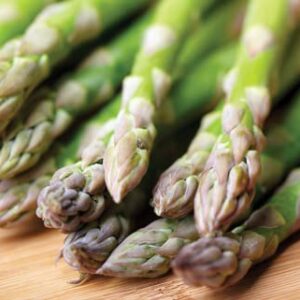 Asparagus Seeds for Planting, 50 Mary Washington Garden Vegetable Seeds, Heirloom Variety, Open Pollinated, Non-GMO