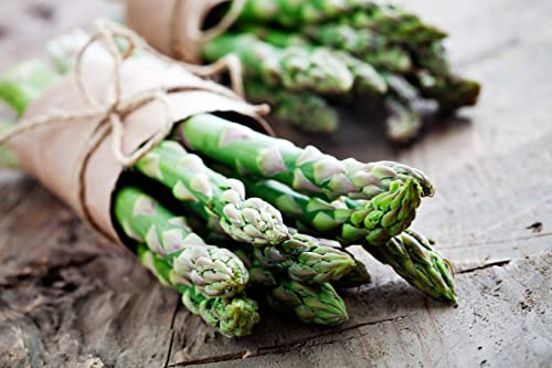 Asparagus Seeds for Planting, 50 Mary Washington Garden Vegetable Seeds, Heirloom Variety, Open Pollinated, Non-GMO