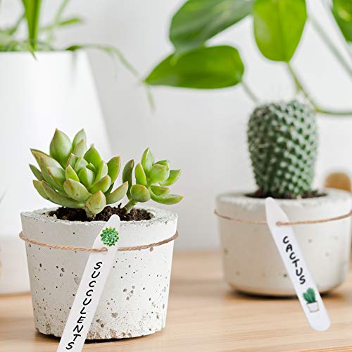 Whaline 200Pcs Thick Plastic Plant Labels with Hole White Garden Stakes Waterproof Garden Tag Signs for Greenhouse Seedlings Flowers Spotted Plants with 2 Marker Pen and A Roll of Twine (10 CM)