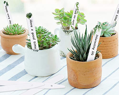 Whaline 200Pcs Thick Plastic Plant Labels with Hole White Garden Stakes Waterproof Garden Tag Signs for Greenhouse Seedlings Flowers Spotted Plants with 2 Marker Pen and A Roll of Twine (10 CM)