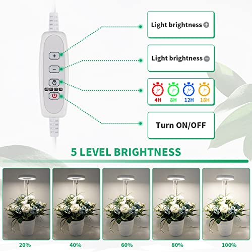 GYTF Halo Plant Grow Light, 6000K White LED Full Spectrum Growing Lamp for Indoor Plants, Succulents, Mini Bonsai, Small Plants, Height Adjustable, Dimmable & Timer 4/8/12/18Hrs