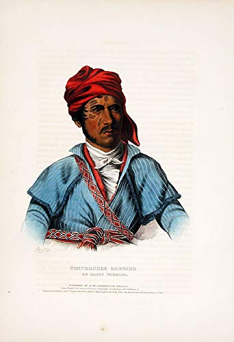 Timpoochee Barnard, an Uchee Warrior