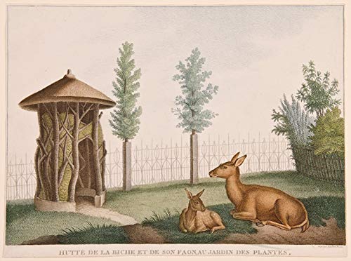 [Set of four prints of animals in the 'Jardin des Plantes' in Paris]