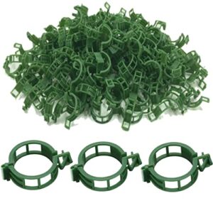 queenbird plant clips – 200 pcs – green – garden clips for tomato and other vine plants – trellis clips – tomato plant support – upright and healthier grow