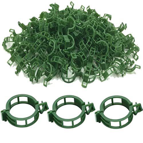 QueenBird Plant Clips - 200 PCS - Green - Garden Clips for Tomato and Other Vine Plants - Trellis Clips - Tomato Plant Support - Upright and Healthier Grow