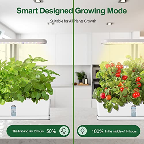 MINEGROW Hydroponics Growing System 10 Pods, Herb Garden Kit Indoor with LED Grow Light, Indoor Garden with Automatic Pump & Timer, Height Adjustable, Indoor Herb Garden Home Decor Gift