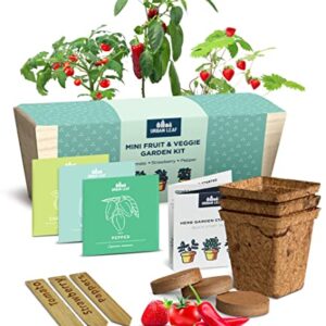 Herb Garden Kit Indoor – Indoor Herb Garden Starter Kit – Dwarf Tomato, Chili Pepper and Eggplant Seeds – Sturdy Reusable Planter, Enriched Soil & Bamboo Labels – Indoor Garden Kit