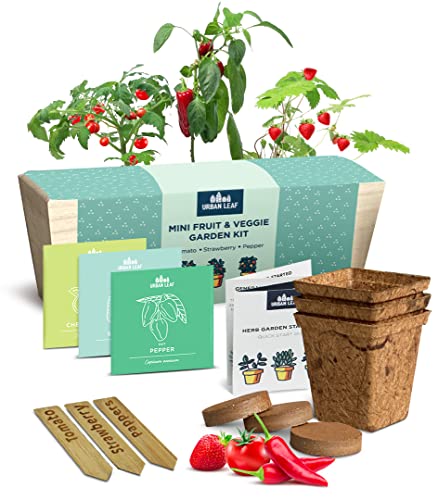 Herb Garden Kit Indoor – Indoor Herb Garden Starter Kit – Dwarf Tomato, Chili Pepper and Eggplant Seeds – Sturdy Reusable Planter, Enriched Soil & Bamboo Labels – Indoor Garden Kit