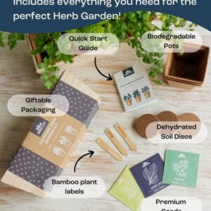 Herb Garden Kit Indoor – Indoor Herb Garden Starter Kit – Dwarf Tomato, Chili Pepper and Eggplant Seeds – Sturdy Reusable Planter, Enriched Soil & Bamboo Labels – Indoor Garden Kit