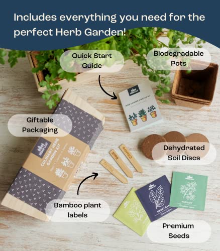 Herb Garden Kit Indoor – Indoor Herb Garden Starter Kit – Dwarf Tomato, Chili Pepper and Eggplant Seeds – Sturdy Reusable Planter, Enriched Soil & Bamboo Labels – Indoor Garden Kit