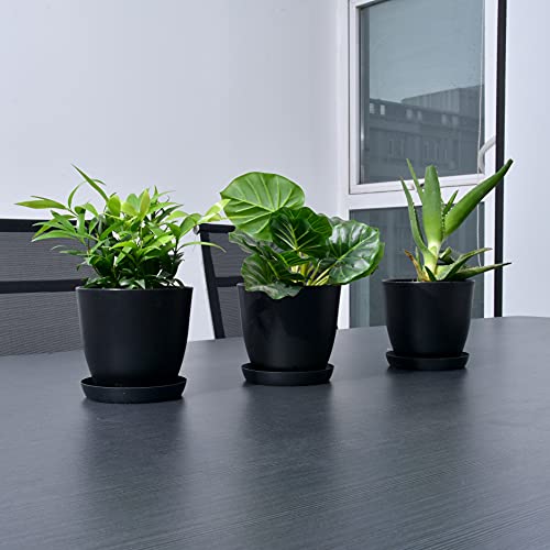 JERIA 10-Pack 5.5 Inch Plastic Plant Pots with Drainage Hole and Trays, Modern Decorative Gardening Pots, Suitable for Indoor and Outdoor, All House Plants, Succulents, Flowers, and Cactus, Black