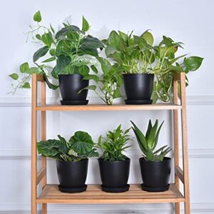 JERIA 10-Pack 5.5 Inch Plastic Plant Pots with Drainage Hole and Trays, Modern Decorative Gardening Pots, Suitable for Indoor and Outdoor, All House Plants, Succulents, Flowers, and Cactus, Black