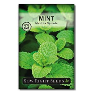 sow right seeds – mint seed for planting – non-gmo heirloom seeds – instructions to plant and grow an herbal tea garden, indoors or outdoor; great gardening gift (1)