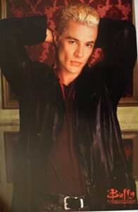 buffy the vampire slayer james marsters as sexy spike 11 x 17 poster lithograph