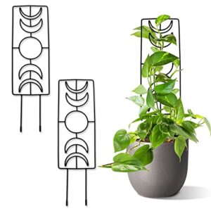 Tuitessine Moon Phase Trellis Indoor Plant Trellis Climbing Plant Small Garden Trellis for Potted Plant Houseplant Metal Wire Trellis Pot Trellis 2 Packs 14.1’’