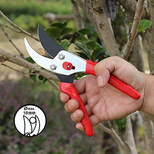 FLORA GUARD - 8.5Inch Traditional Bypass Pruning Shears - Professional Tree and Branch Garden Pruner