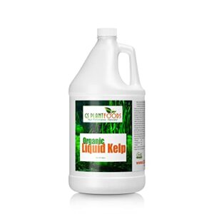 organic kelp fertilizer by gs plant foods – omri listed(1 gallon) – liquid kelp concentrate for gardens, lawns & soil yields 800+ gallons
