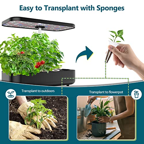 Yoocaa 128pcs Seed Pod Kit for Aerogarden, Grow Anything Kit with 50Grow Sponges, A&B Nutrient Plant Food, 50Labels, 12Grow Baskets, 12Grow Domes, Compatible with Hydroponics Supplies from All Brands