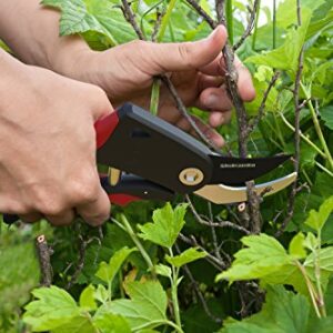 Sleek Garden Hand Pruner Professional Sharp Bypass EZ-Cut Garden Pruning Shears -Comfort Plus Handheld Gardening Tools Pruner,Rust Proof Blades Clippers/Scissors /- Shock Absorber + Cushion