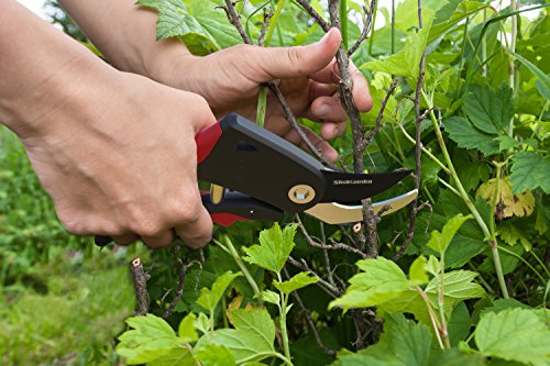 Sleek Garden Hand Pruner Professional Sharp Bypass EZ-Cut Garden Pruning Shears -Comfort Plus Handheld Gardening Tools Pruner,Rust Proof Blades Clippers/Scissors /- Shock Absorber + Cushion