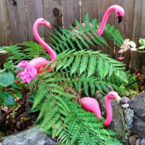 GiftExpress Large Bright Pink Flamingo Yard Ornament/Flamingo Garden Statue/Pink Flamingo Garden Yard Decor (Pack of 4)