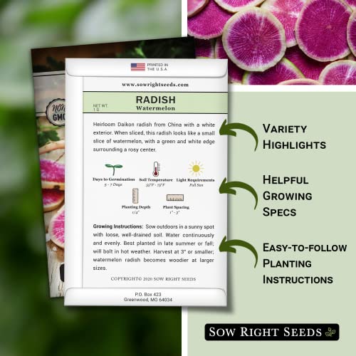 Sow Right Seeds - Watermelon Radish Seed for Planting - Non-GMO Heirloom Packet with Instructions to Plant a Home Vegetable Garden - Great Gardening Gift (1)