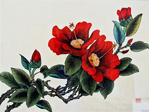 Red Camellia