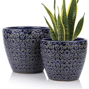 DeeCoo 2 Pack Ceramic Plant Pots Indoor, Flower Pot Set 5.5 + 6.5 Inch, Blue Planters for Plants, Clay Plant Pots with Drainage Hole for Snake Plants, Orchid, Succulent, Cactus - Outdoor Garden Pots