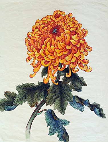 King Chrysanthemum